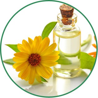 Chamomile Hydrosol Matricaria Recutita