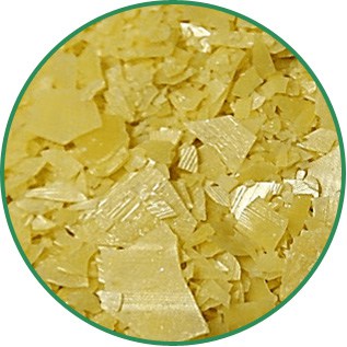 Copernicia Cerifera Carnauba Wax
